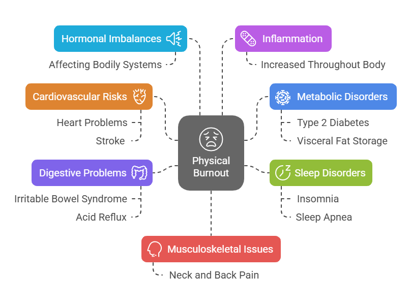 Physical burnout: hormonal imbalances, cardiovascular risks, digestive problems, inflammation, metabolic disorders, sleep disorders, musculoskeletal issues